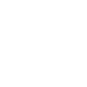 Sony Chemicals Corp of America
